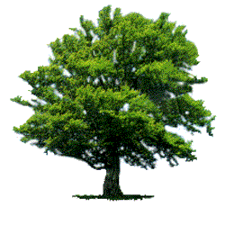 [ �V�X�e���T�C�G���X������� ]